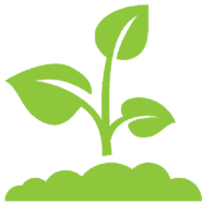 rain-garden_fixed-1024x630 rain-garden_fixed-1024x630