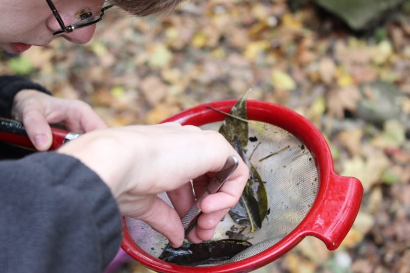 Henry-Clay-student-water-quality-2-830x553