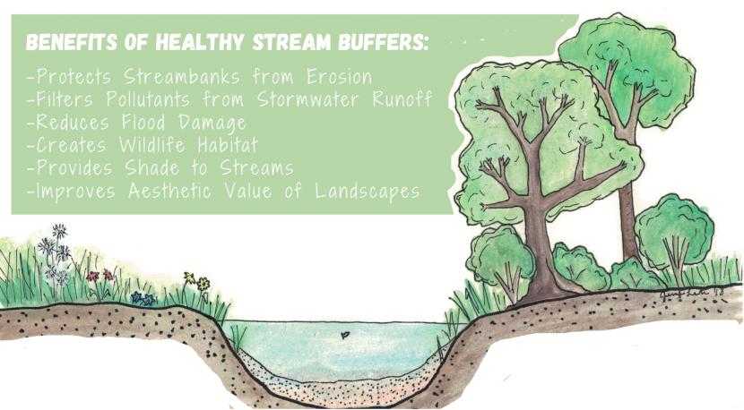 Riparian-Buffer-Graphic-830x458