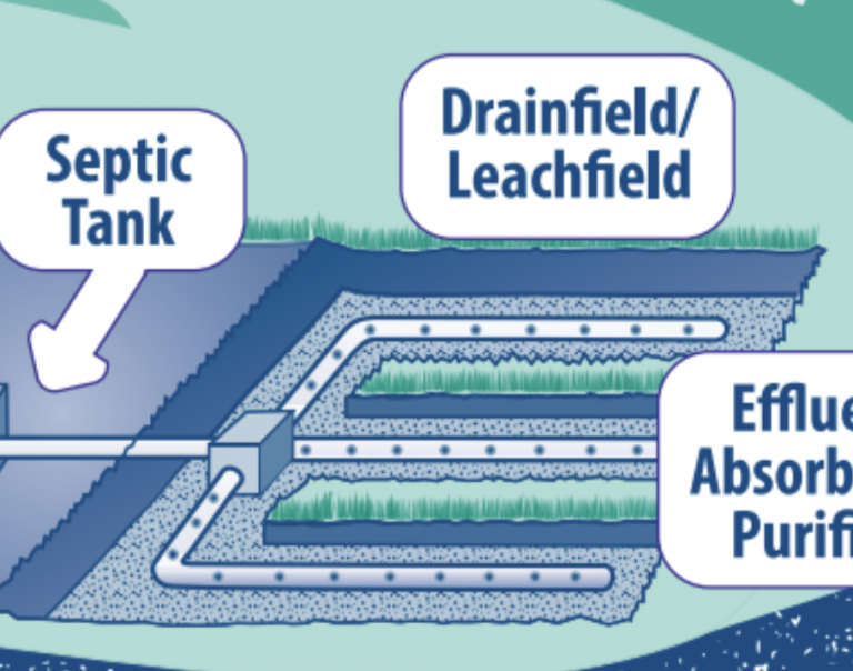 Screen-Shot-2018-05-09-at-1.12.00-PM-768x604