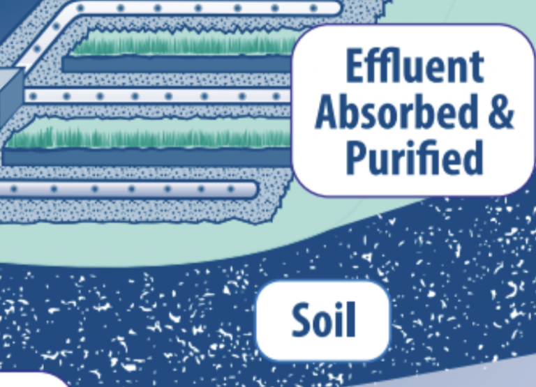 Screen-Shot-2018-05-09-at-1.12.21-PM-768x555