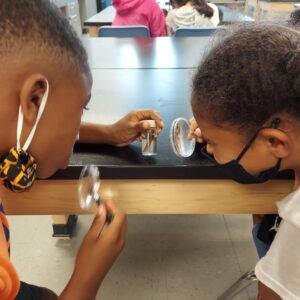 Macroinvertebrate ID Macroinvertebrate ID