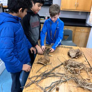 Students work together to construct a small raft using sticks, leaves, and grasses.