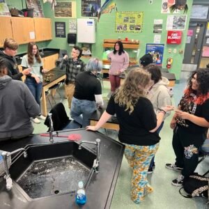 Students in a classroom with partners. Each pair has a matching set of tree leaves.
